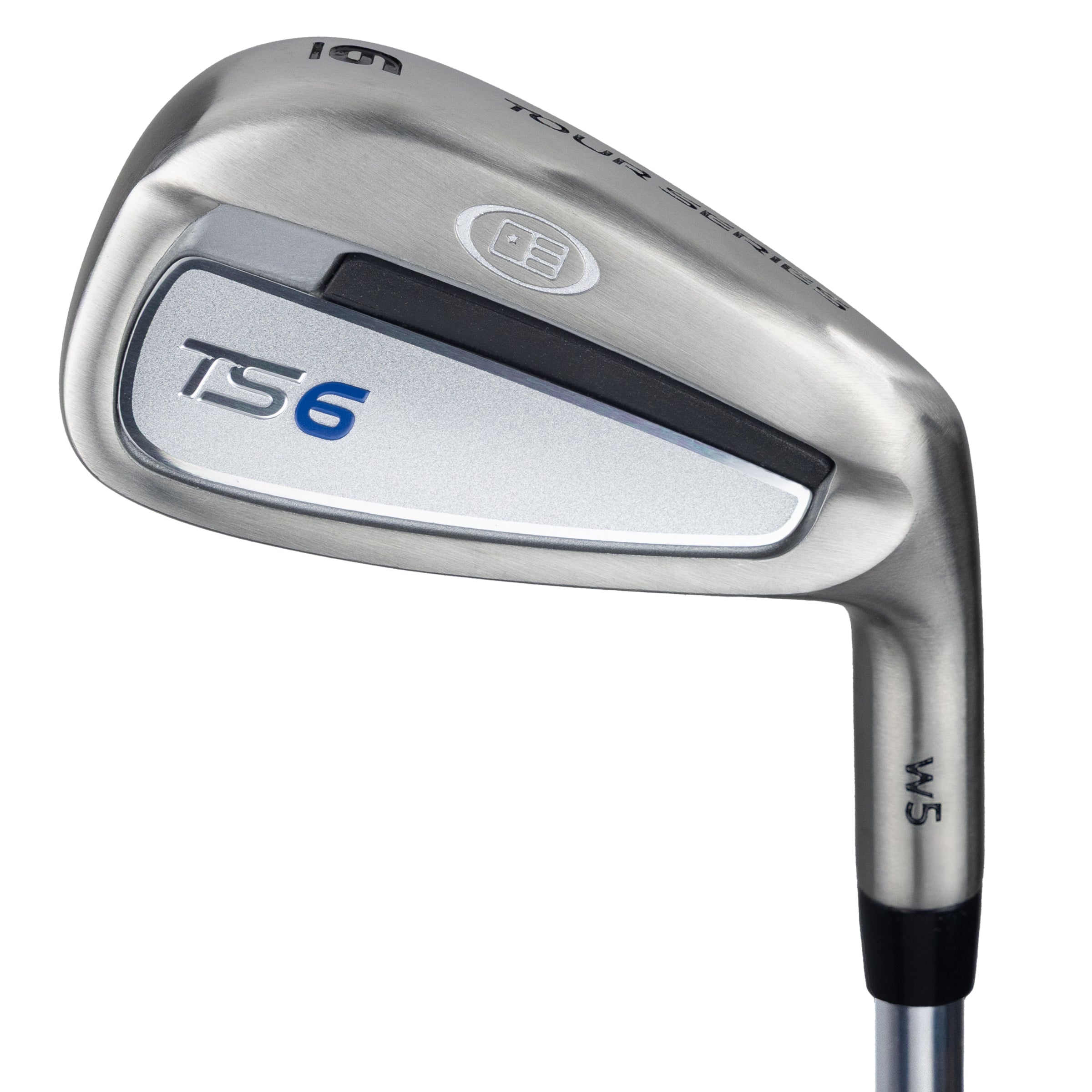 TS6-66 6 Iron, w5 Steel Shaft