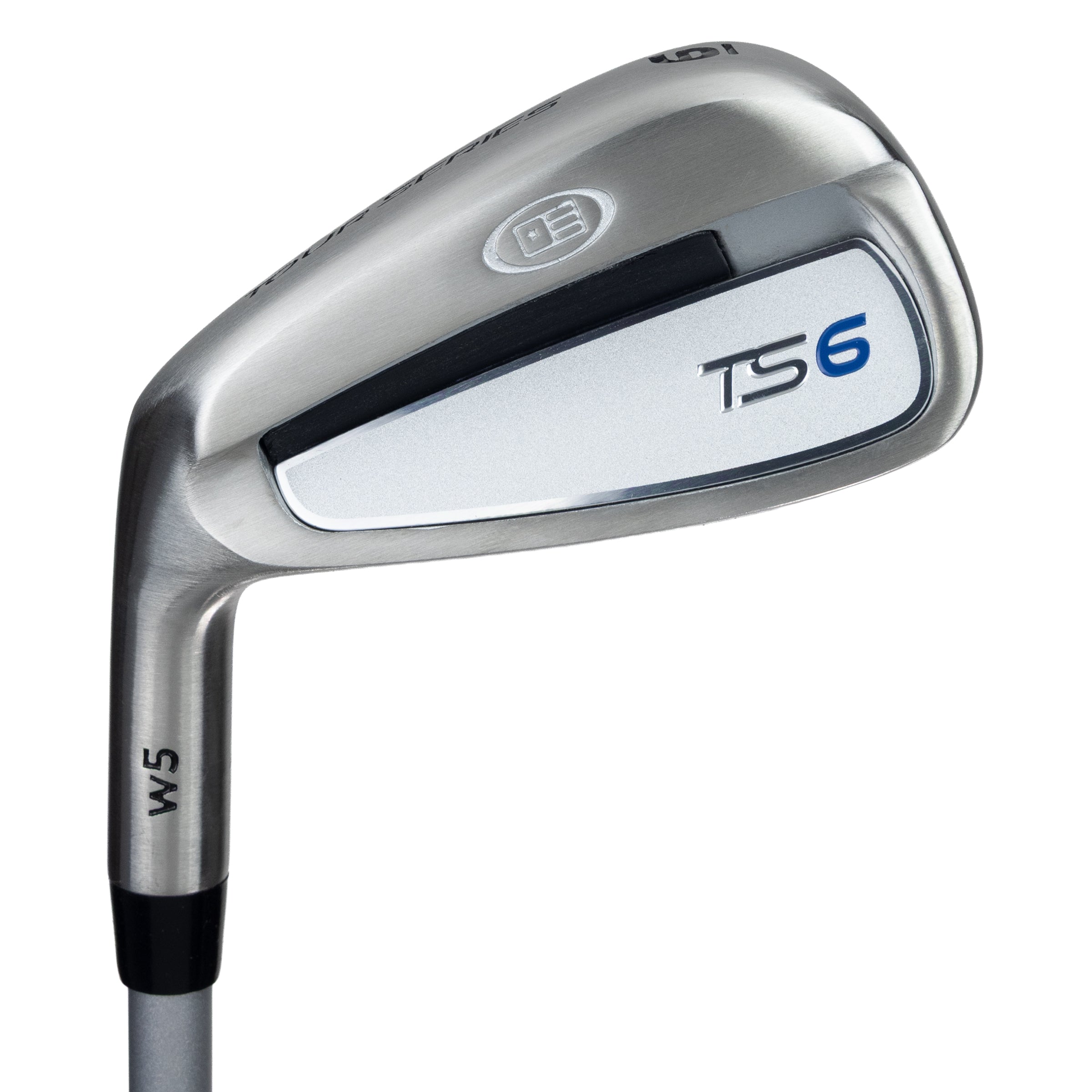 TS6-66 6 Iron, w5 Graphite Shaft