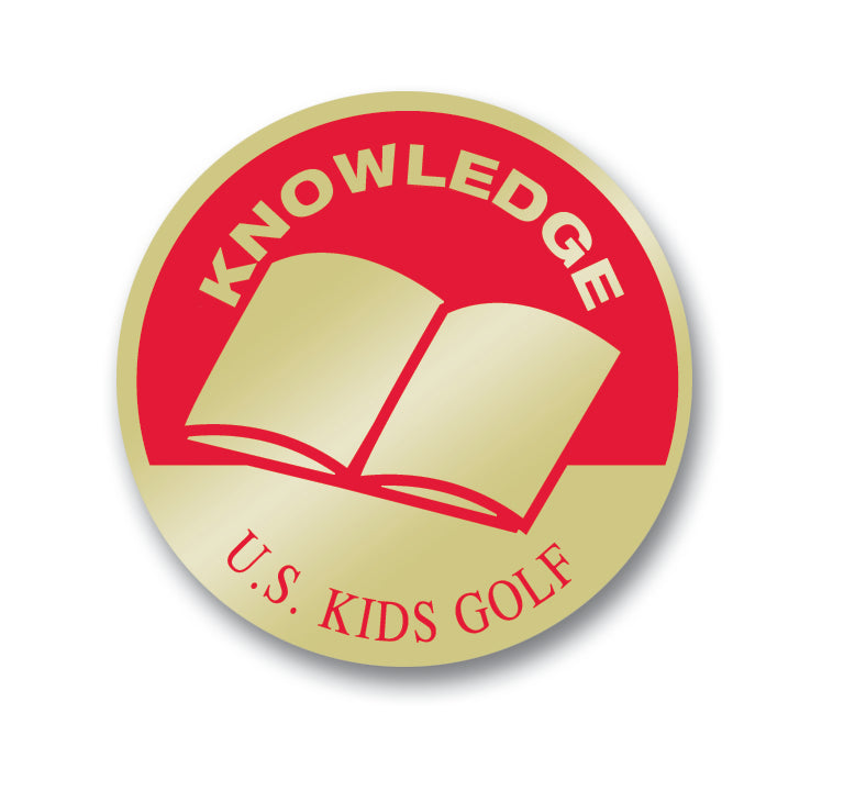 Level 3 PP Knowledge Pin, Individual Red