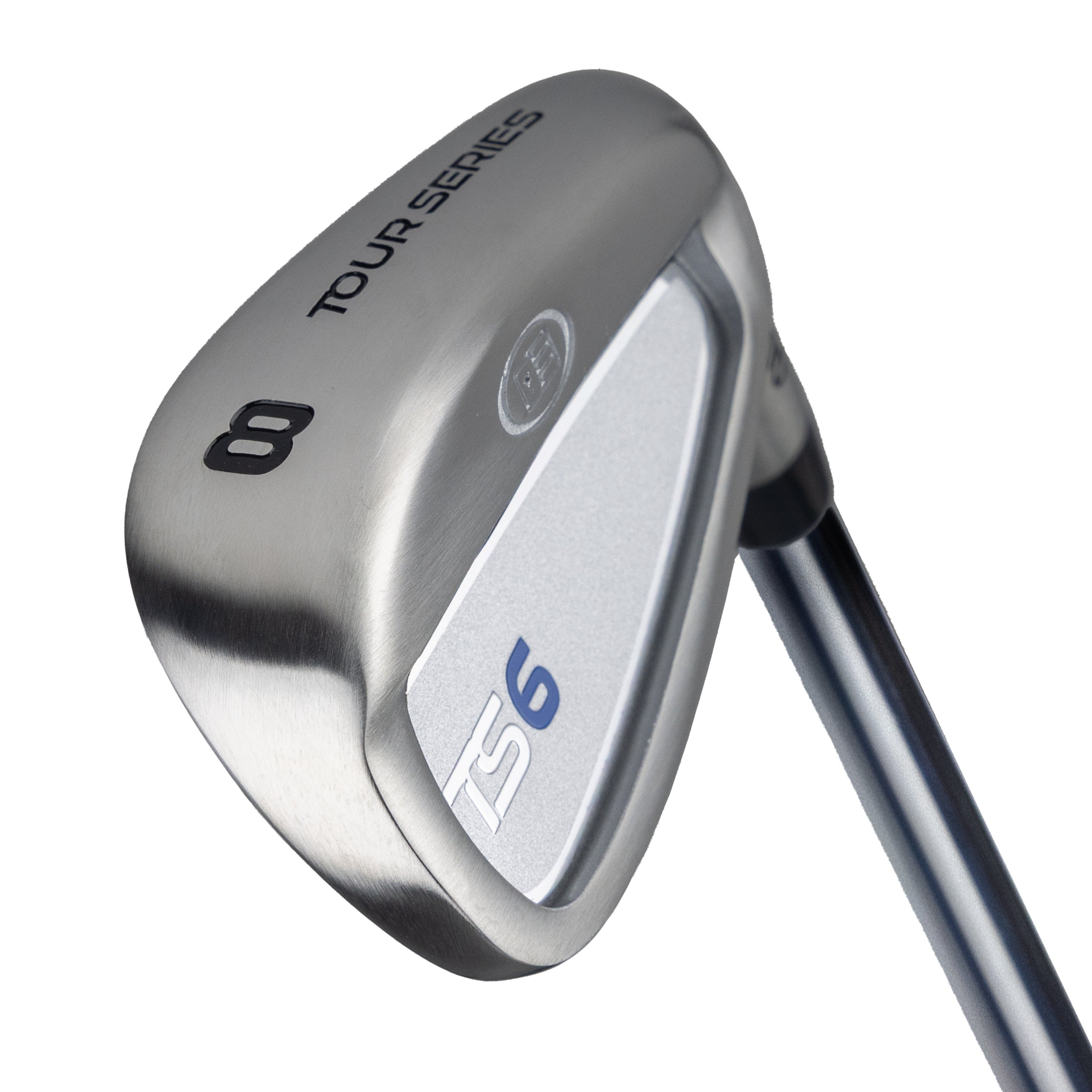 TS6-66 8 Iron, w5 Steel Shaft