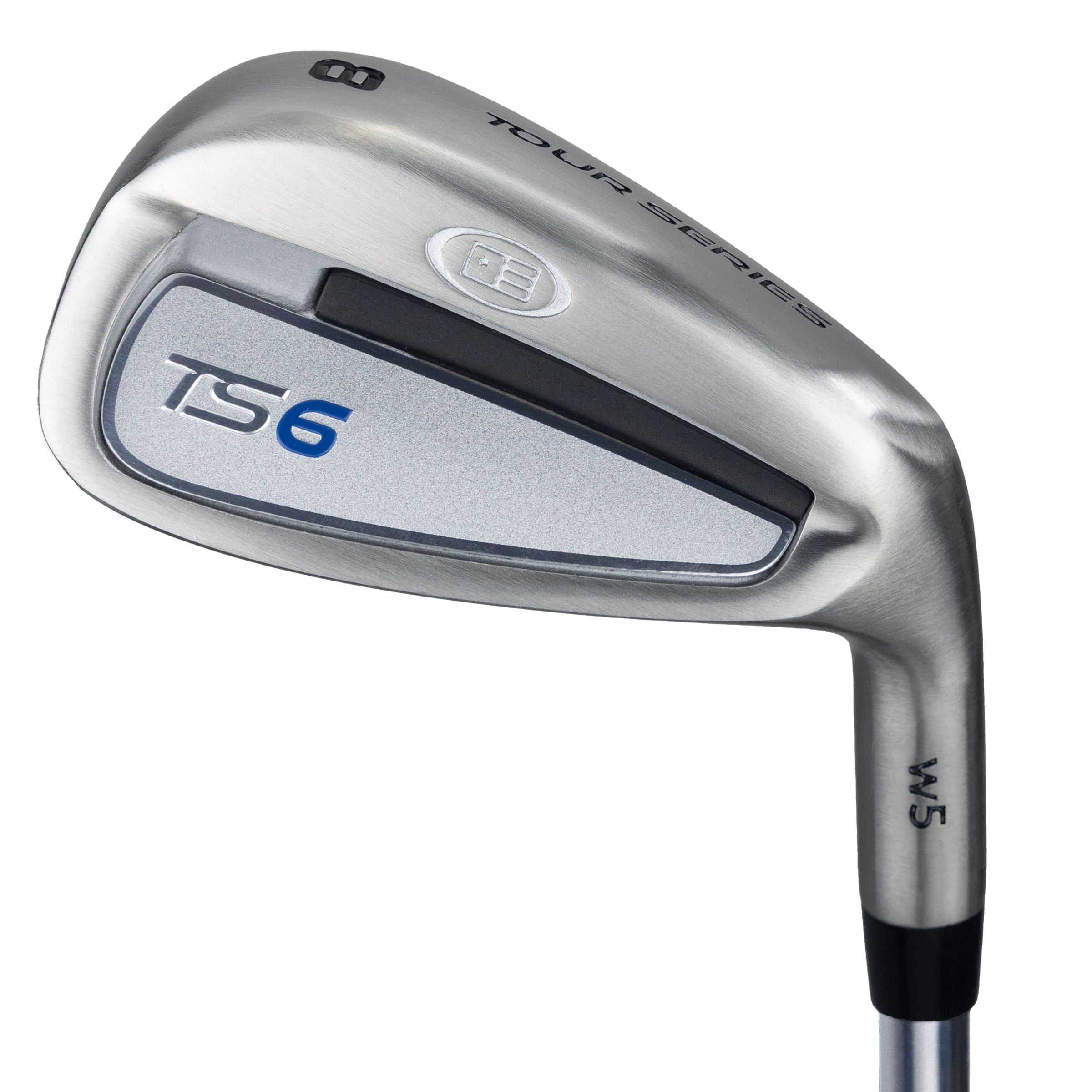 TS6-66 8 Iron, w5 Steel Shaft