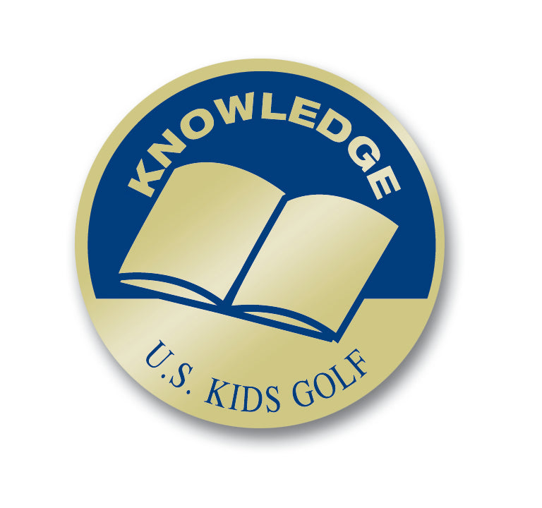 Level 1 PP Knowledge Pin, Individual Blue