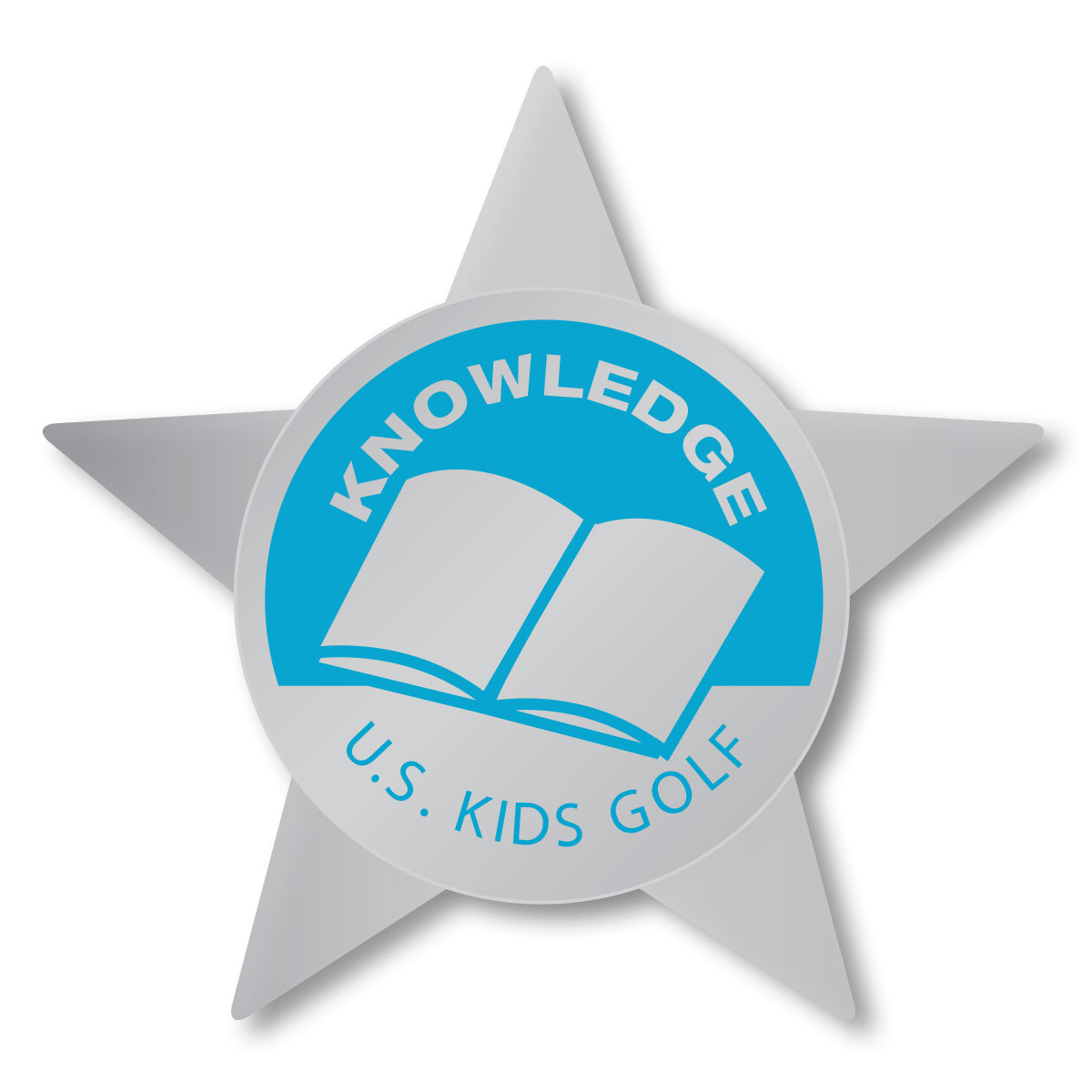 Level 6 Knowledge Pin, Individual Teal